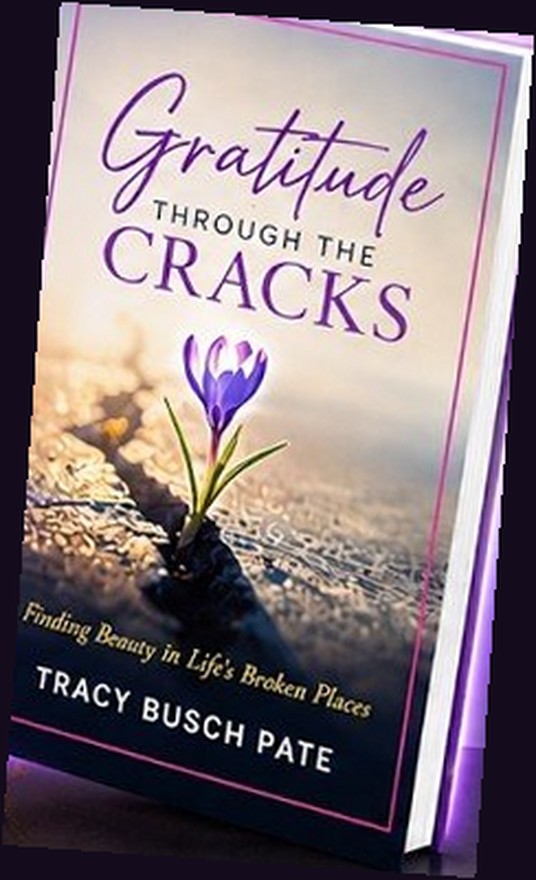 Gratitude Through the Cracks — Finding Beauty in Life's Broken Places, by Tracy Busch Pate