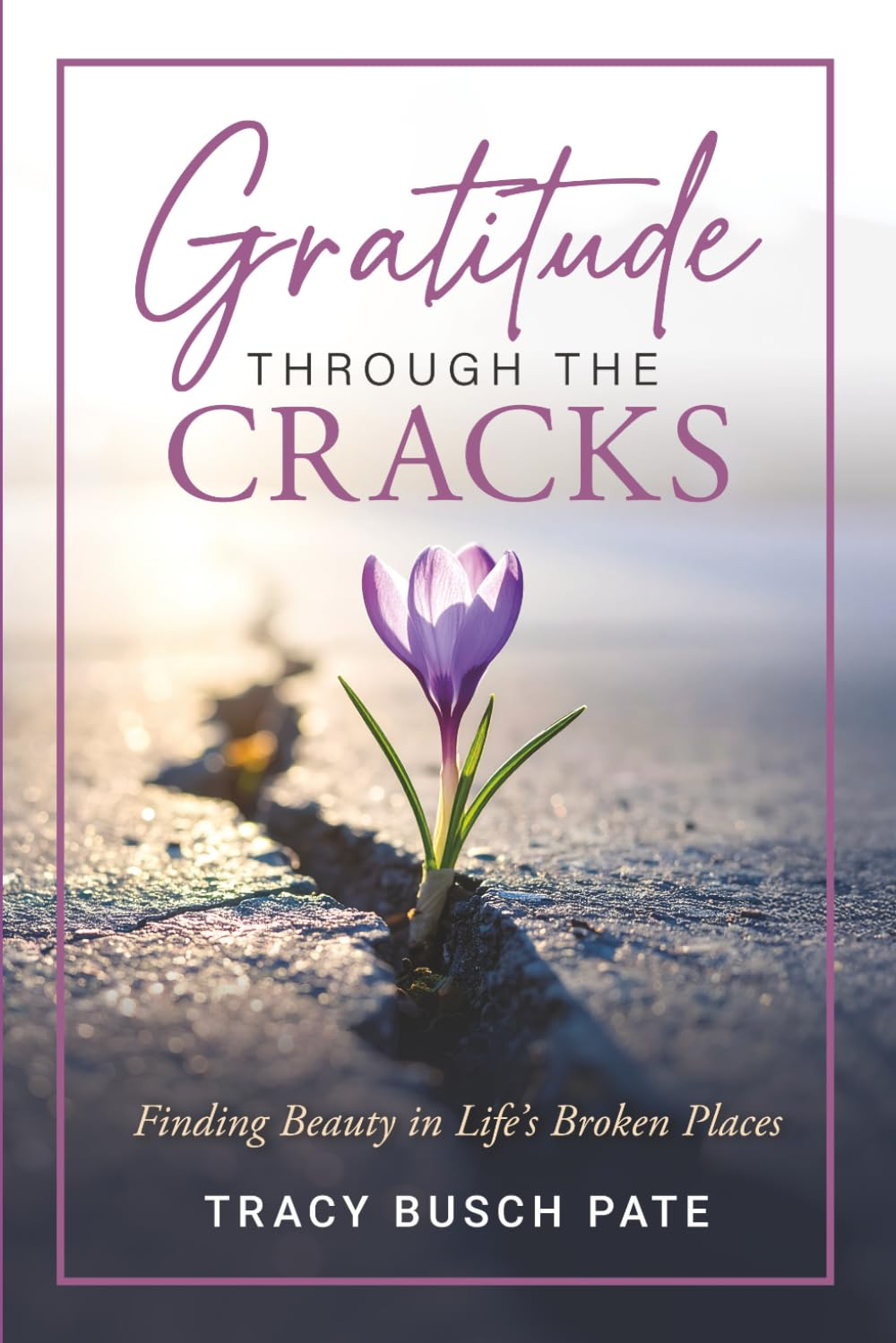 Gratitude Through the Cracks book cover by Tracy Busch Pate